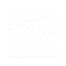 QR1